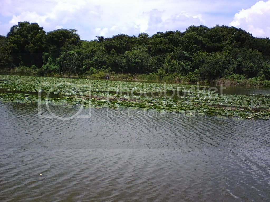 0817081335.jpg