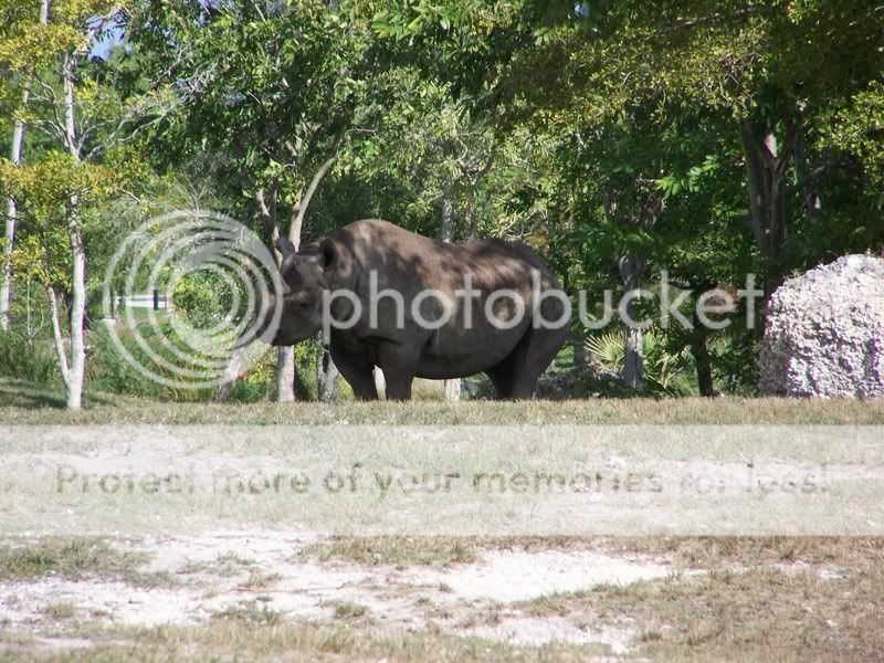 zoo030.jpg