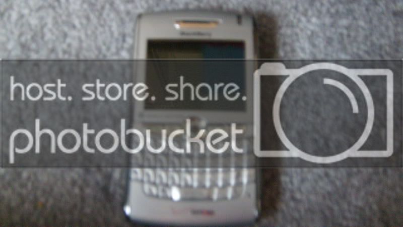 S6301035.jpg