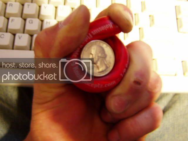 P1010005-1.jpg