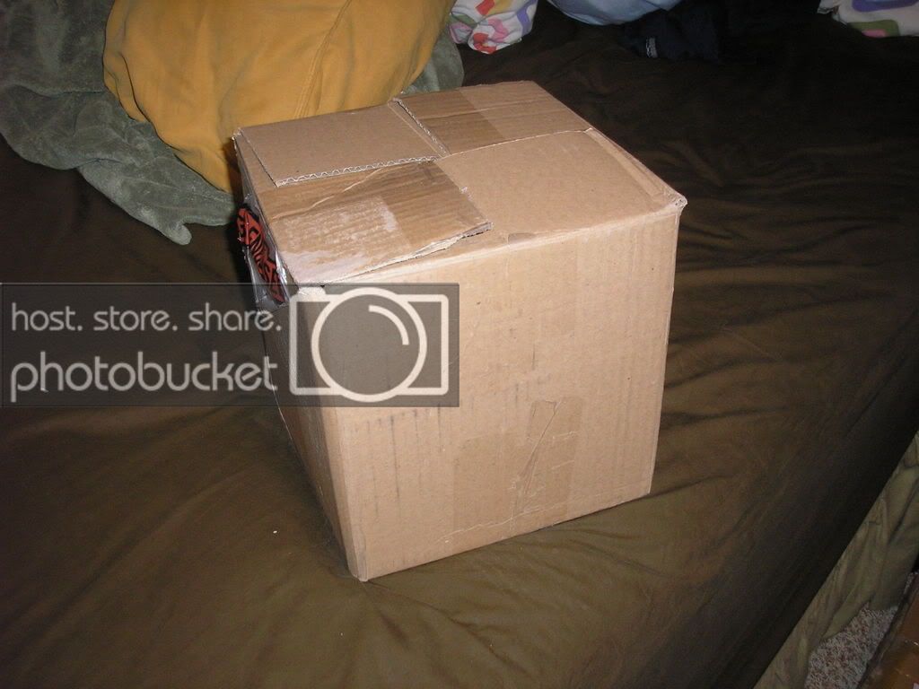 Picture018.jpg