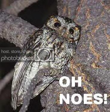 ohnoes.jpg