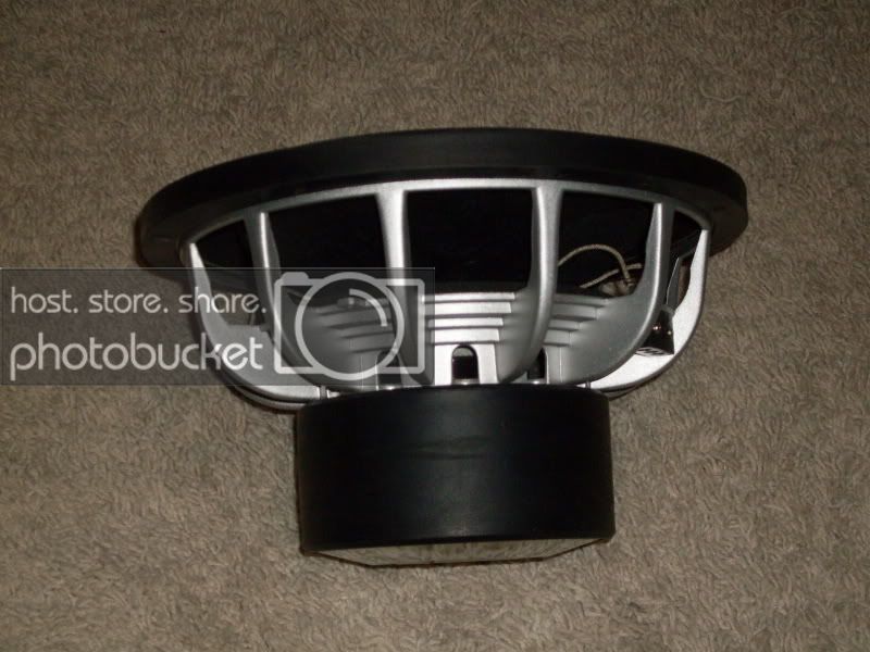 SDC10873.jpg