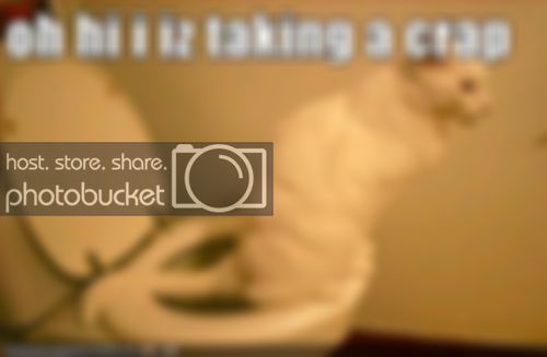 4243984.jpg