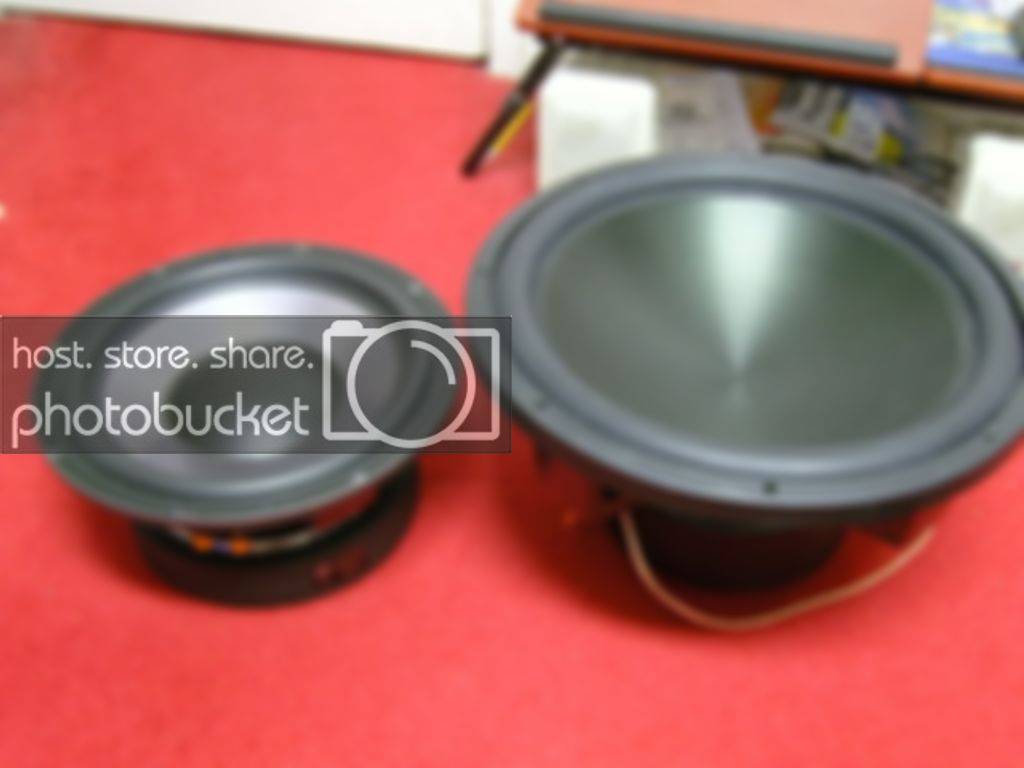 SNC10009.jpg