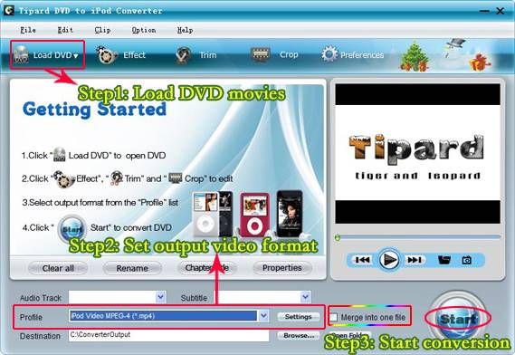 dvd-to-ipod-main-f.jpg