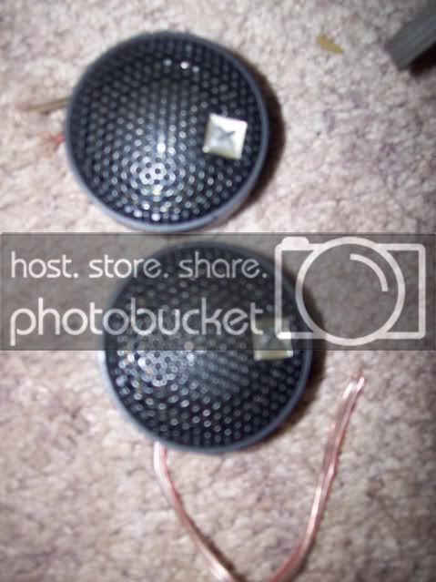 100_0077.jpg