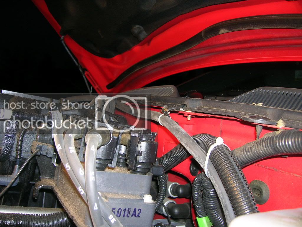 DSCN0950.jpg