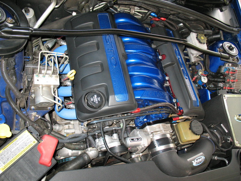 259922979.jpg