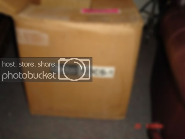 DSC04148.jpg
