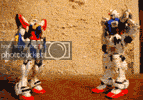 avy2.gif