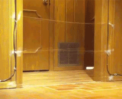 tumblr_lrznz9X4s31qzrlhgo2_250.gif