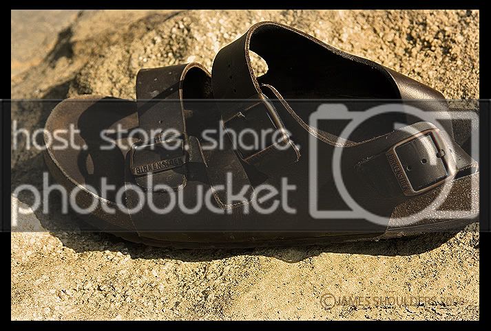 birk.jpg