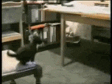 m_f005d2563f48d8029d73d3530dd13997.gif