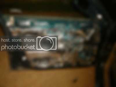 P1030773.gif