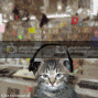kittyy.gif