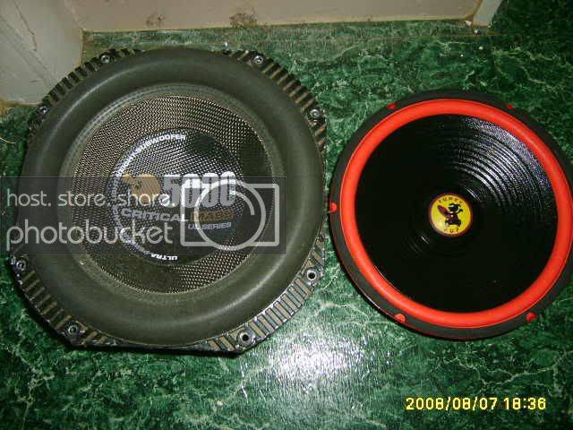 pupCM002.jpg