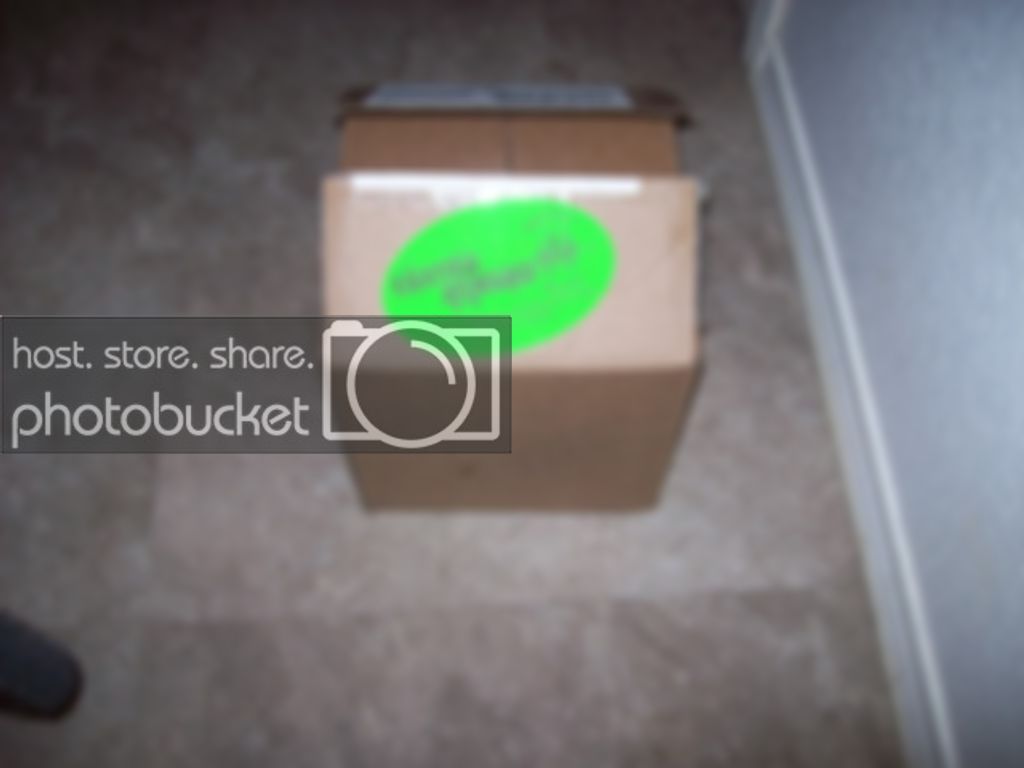 100_0703.jpg