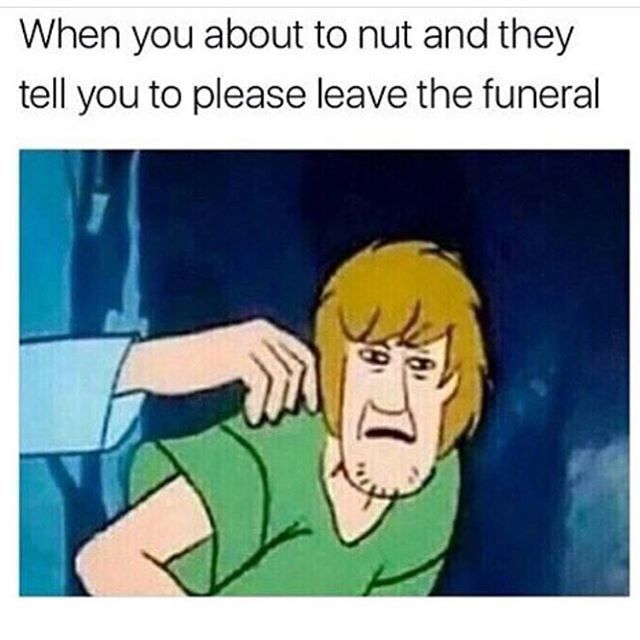 c54xGWh.jpg