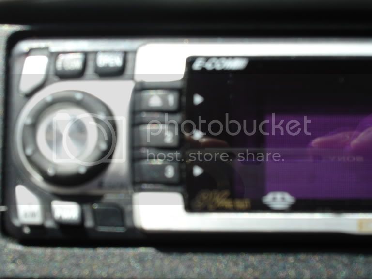 DSC00252.jpg
