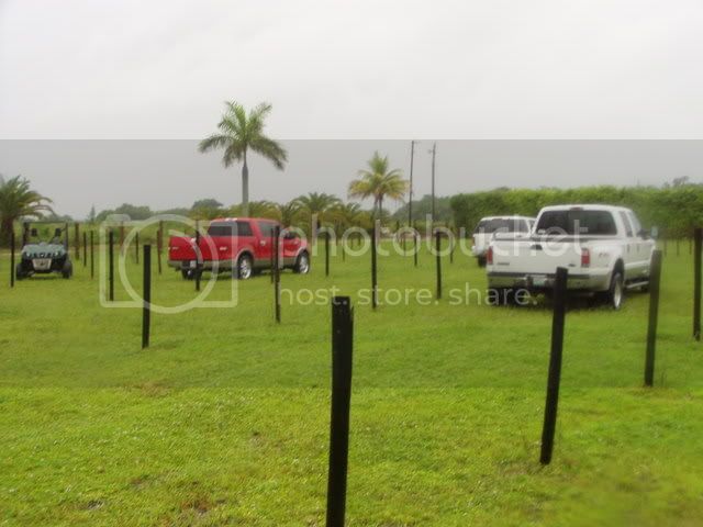 P1010033.jpg