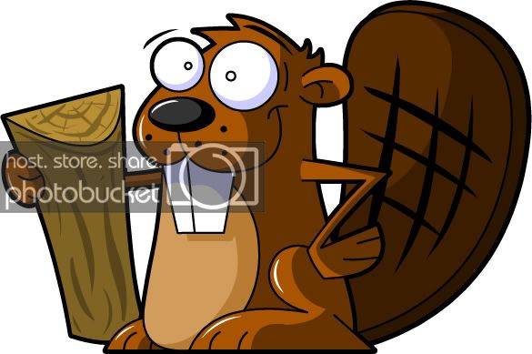 A004-cartoon-beaver.jpg