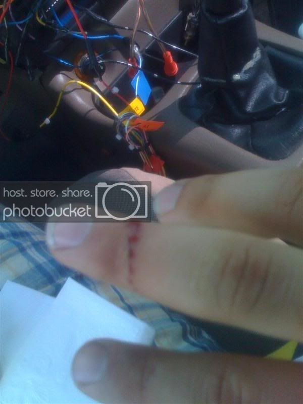 IMG_0285Medium.jpg