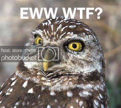 ewwtf.jpg
