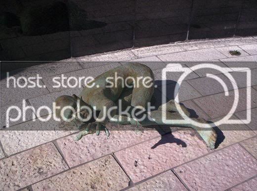 mypics149.jpg