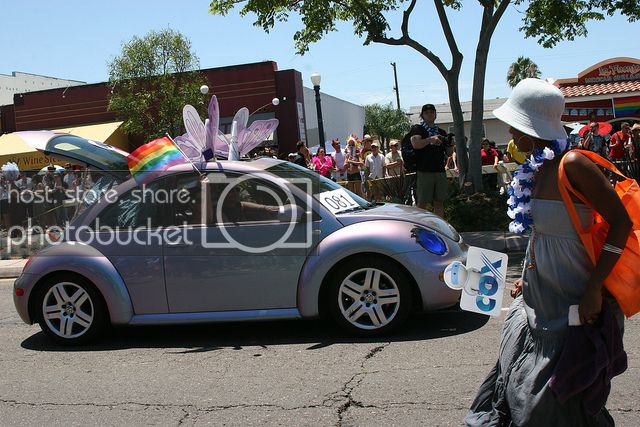 beetle%20gay_zpsfnuntu5w.jpg