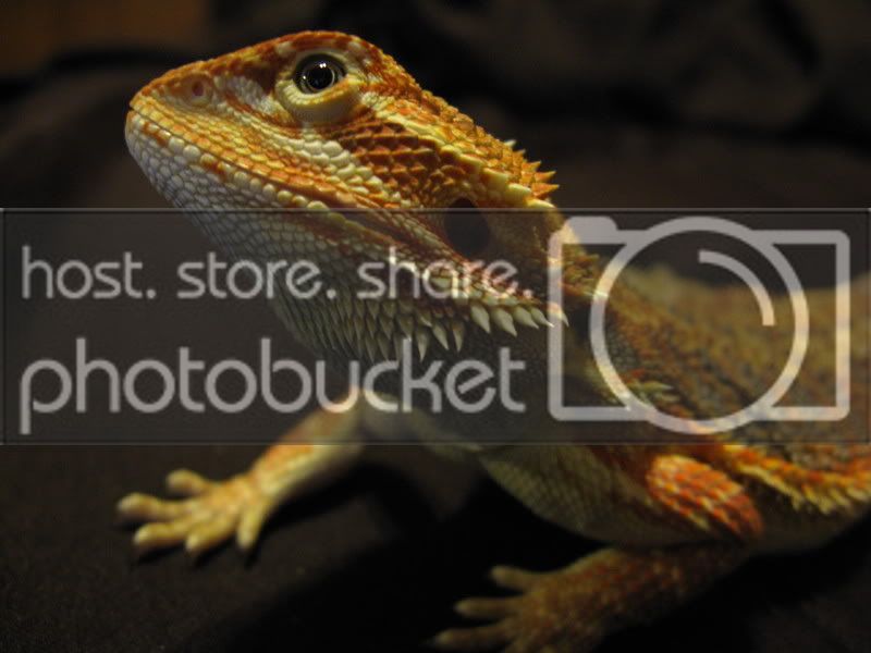 LateMarchApril012-1.jpg