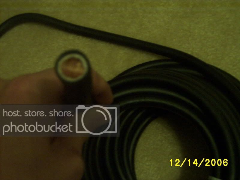 Picture440.jpg