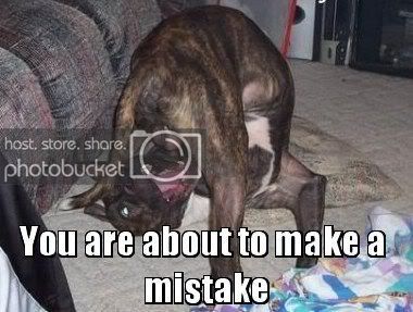 make20a20mistake.jpg