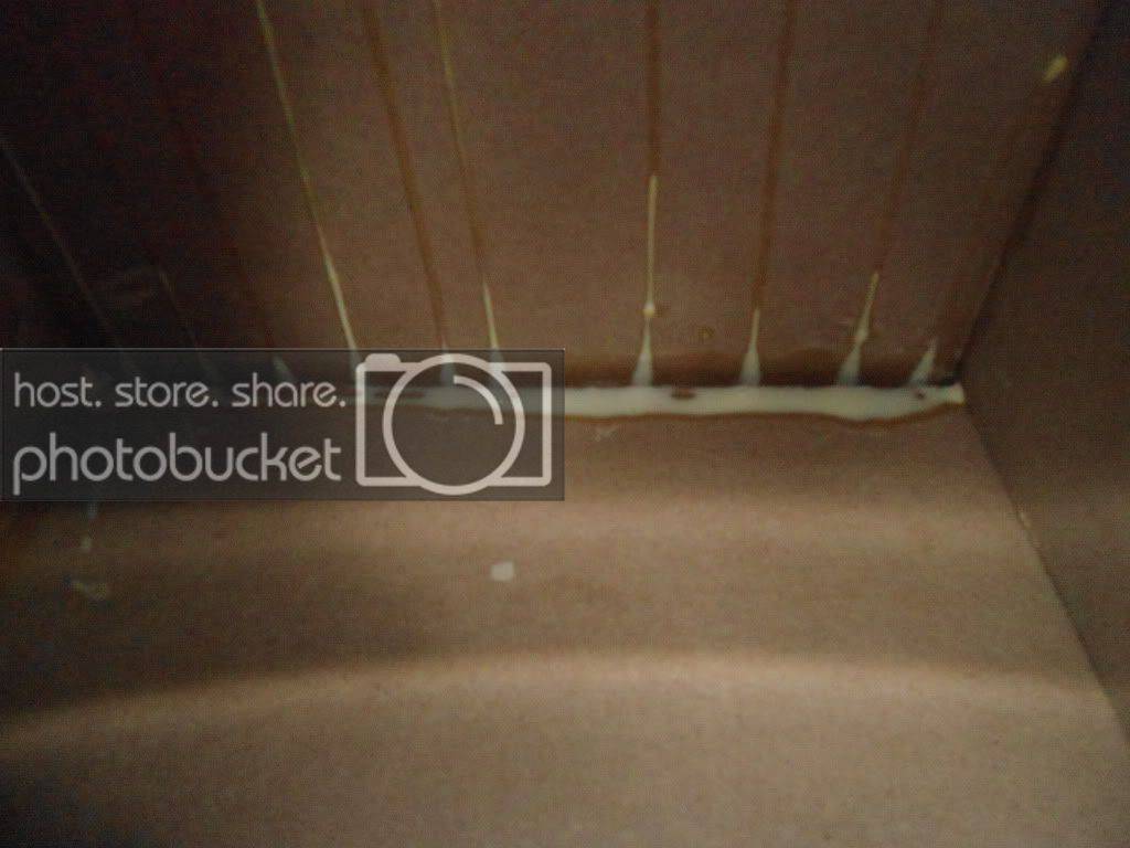 DSC04001.jpg