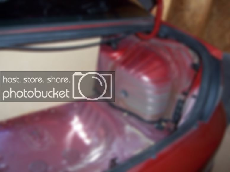 24Trunkstripped.jpg