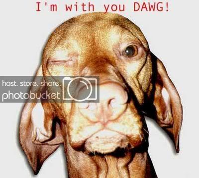 normal_im_with_you_dawg.jpg