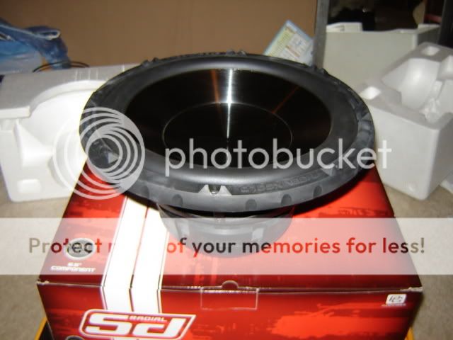 DSC00414.jpg