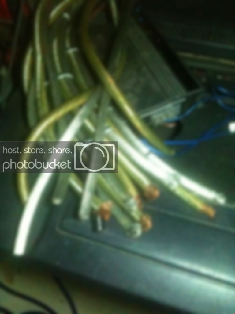 photo5.jpg