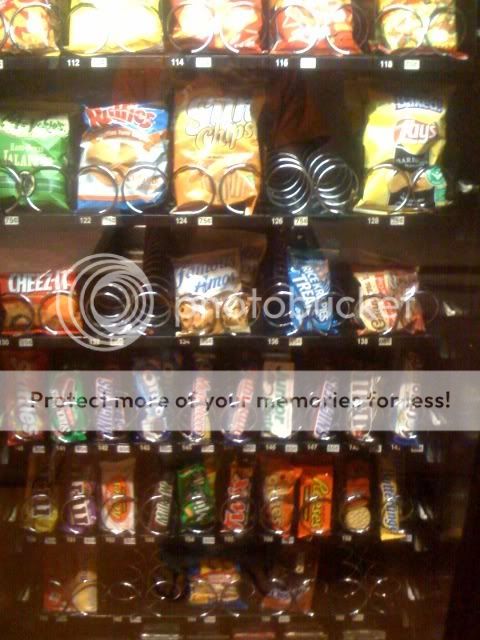 photo9.jpg