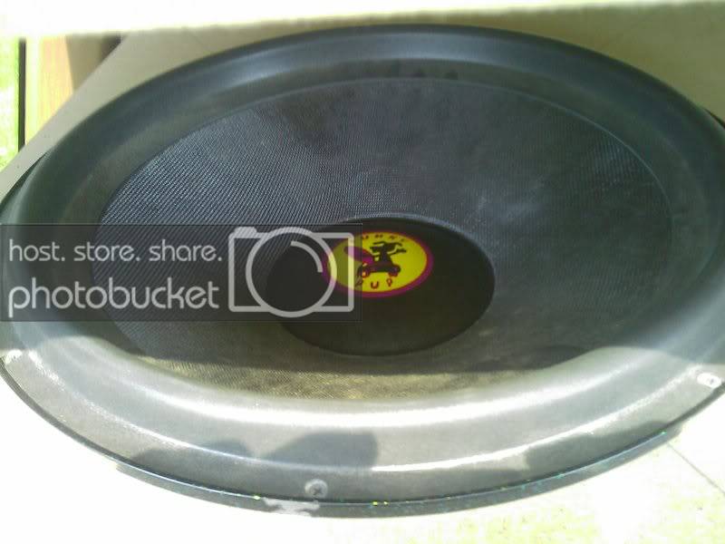 IMAG0127.jpg