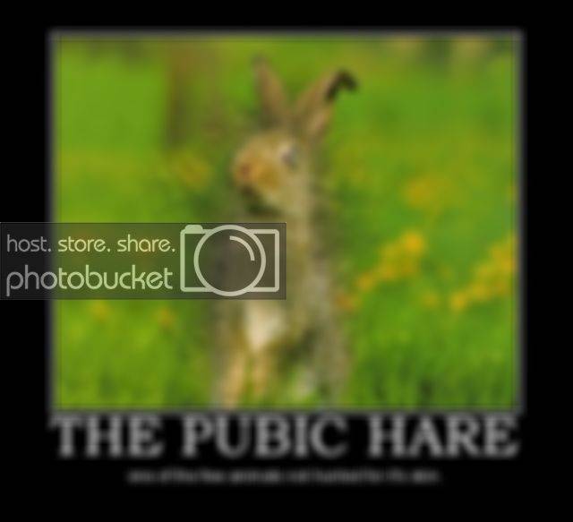 ThePubicHare.jpg