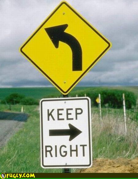 Stupid_signs.jpg