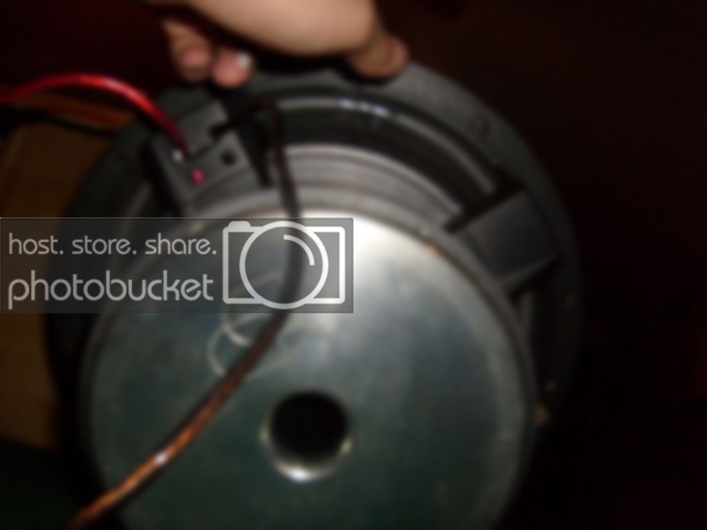S6300893.jpg