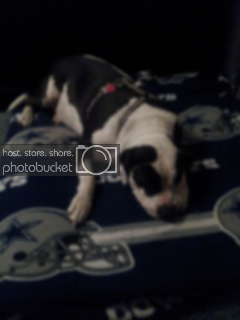 20121110_225343.jpg