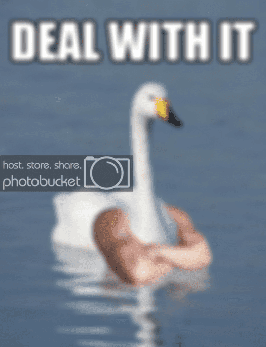 dealwithit_zps1c123c4b.png