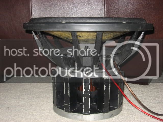 DD99z15002.jpg