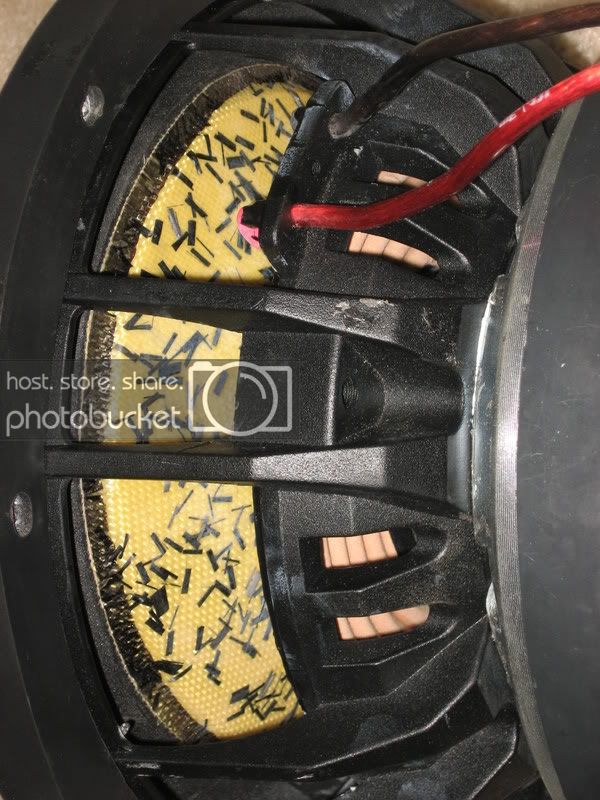d5woofer002.jpg
