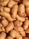 potato-sm.jpg