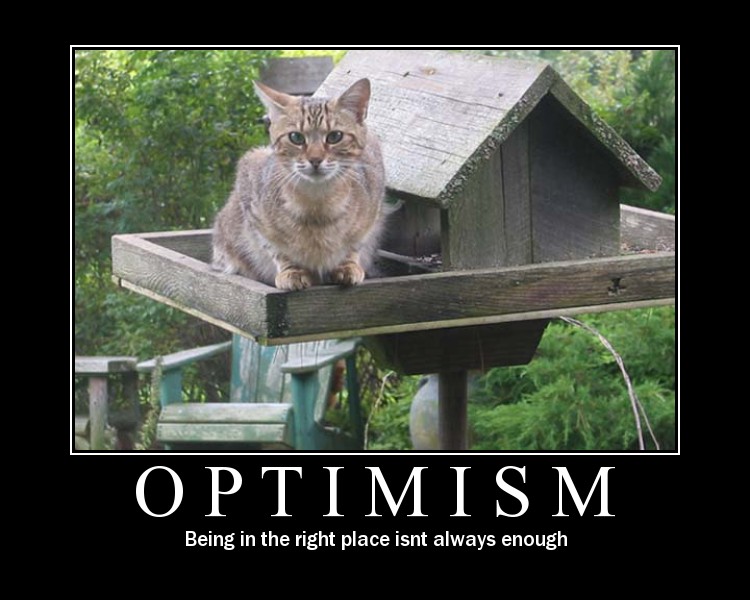 optimism.jpg
