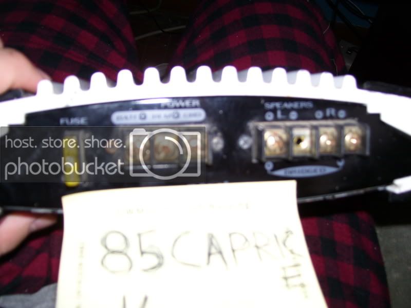 100_0181.jpg